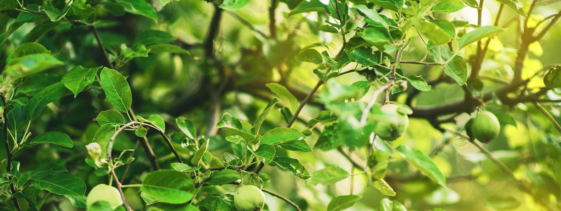 Arztpraxis Frankfurt Allgemeinmedizin Im Sperber 01